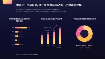 互聯(lián)網(wǎng)用戶與互聯(lián)網(wǎng)數(shù)據(jù)中心 199IT在數(shù)據(jù)服務(wù)中的角色與影響