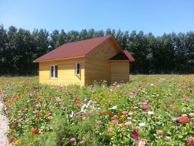 造型藝術與實用價值 花卉與蔬菜的種植造型新趨勢